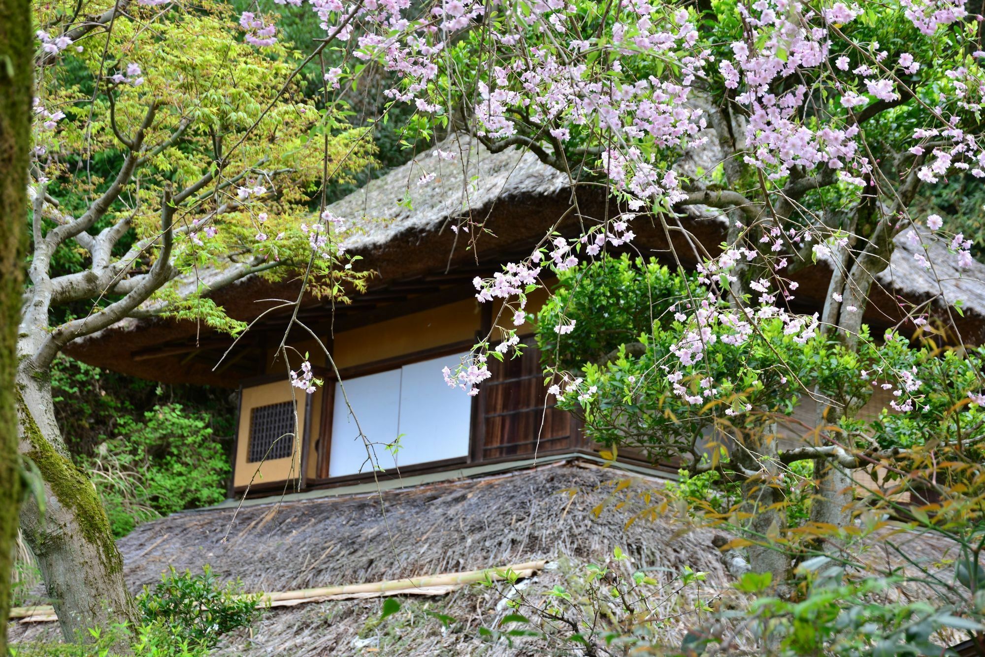 Hotel Kona Besso Izunokuni Exteriér fotografie